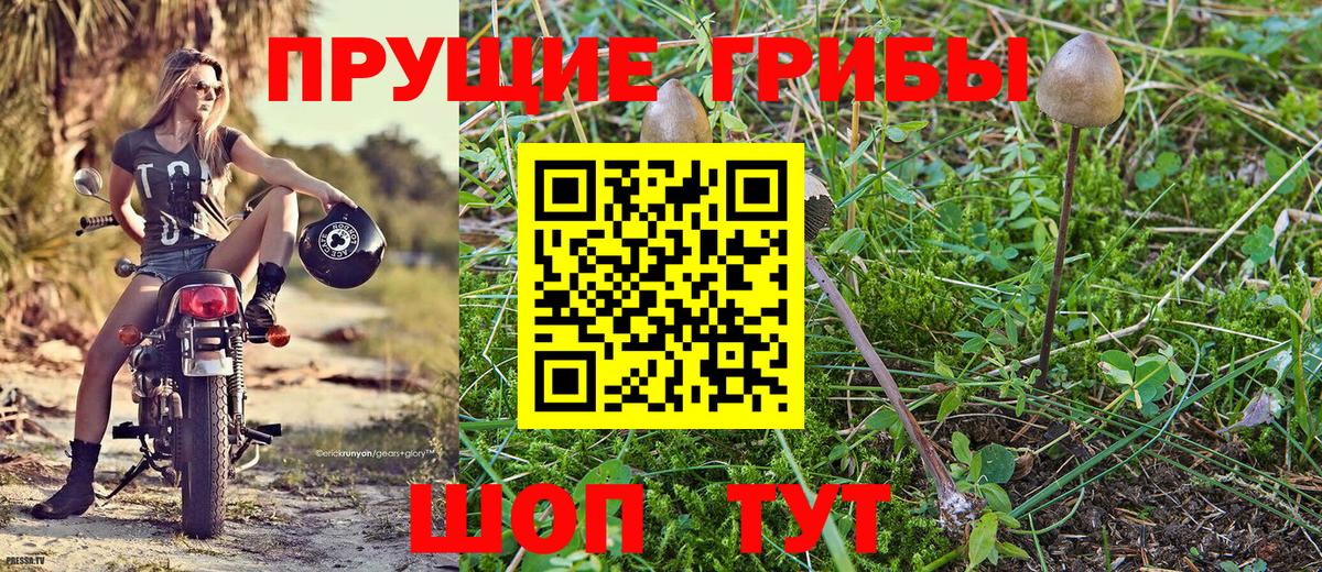 Галлюциногенные грибы прущие грибы  Подольск 