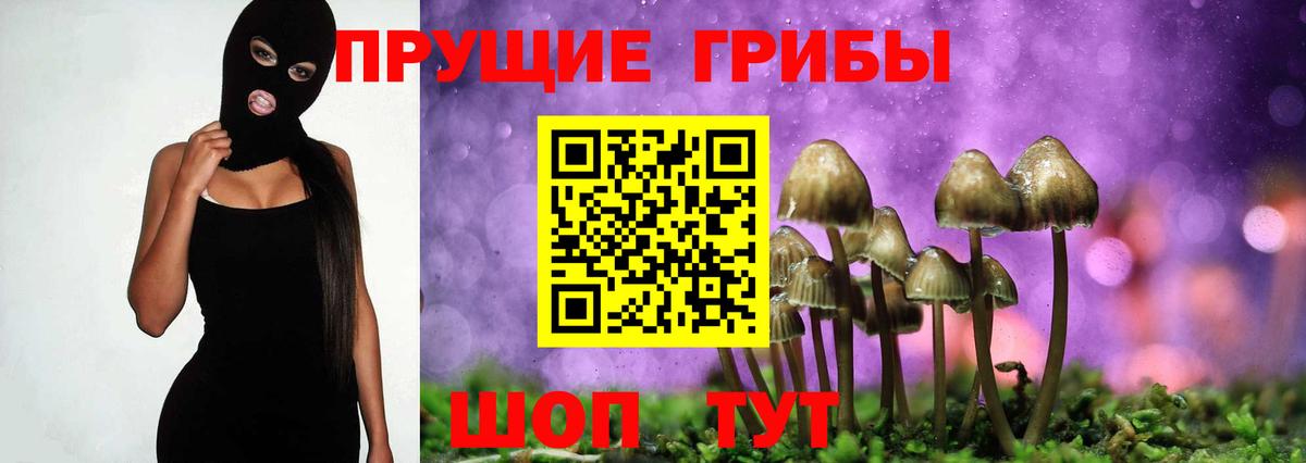 Псилоцибиновые грибы мухоморы Подольск