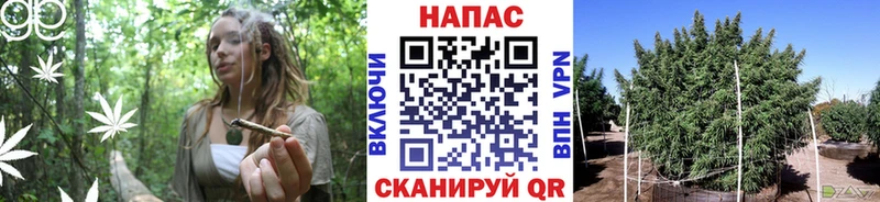 Шишки марихуана MAZAR  Подольск 